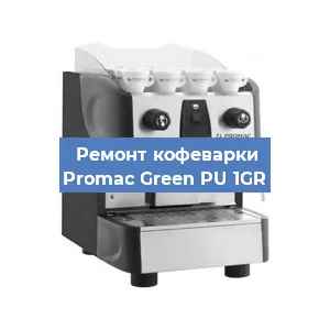 Чистка кофемашины Promac Green PU 1GR от накипи в Челябинске